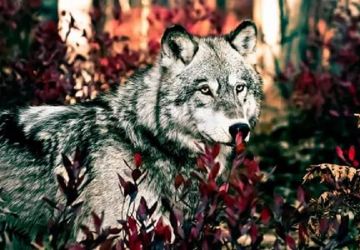 Курточные ткани