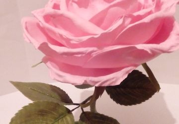 Интерьерная роза