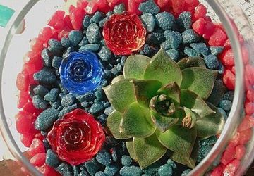 В царстве каменных роз...