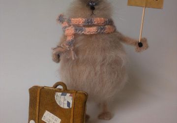 Кот путешественник