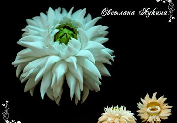 Резинка для волос с цветком георгина