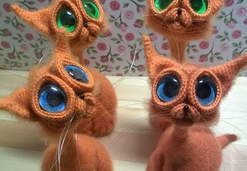 Кот с большими глазами