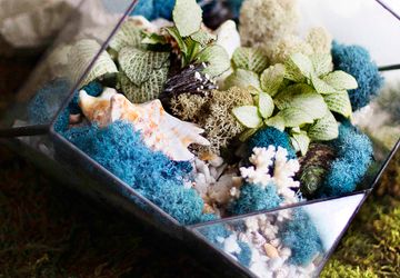 НОЧНИК LIVING OCEAN BLUE