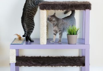 Как сделать домик для кошки своими руками