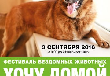 Фестиваль бездомных животных "ХОЧУ ДОМОЙ"