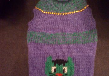 Одежда для животных