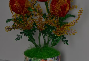 Тюльпанчики