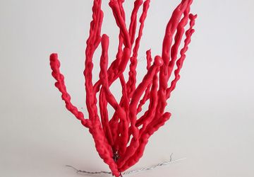 Кораллы своими руками.