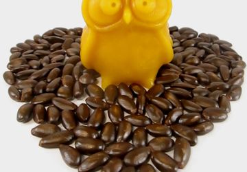 Восковая свеча "Сова"