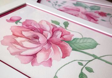 Пион и роза