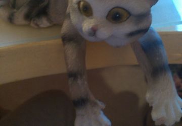 Татуировки