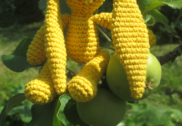 Солнечный зайчик