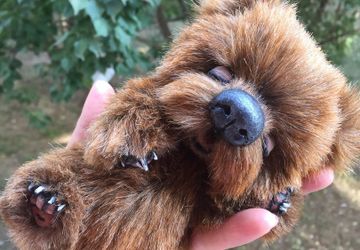 Школа кукольного мастерства