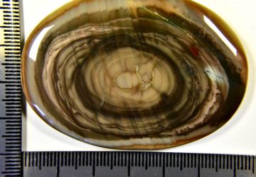 Мексиканская яшма Империал кабошон крупный.