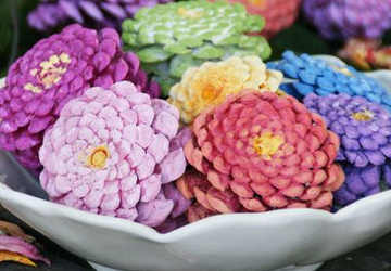 Цветы циннии из сосновых шишек!