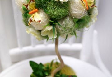 Создание топиария (мастер-класс)