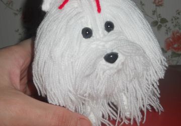 мальтийская болонка - мини