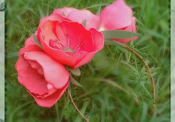 ободок с цветами