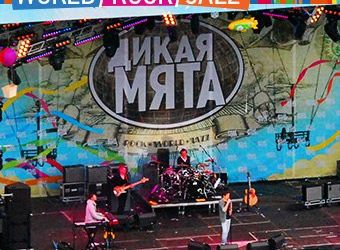 ЯРМАРКА хендмейда на "ДИКОЙ МЯТЕ"