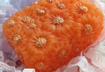 "Ромашковое поле"