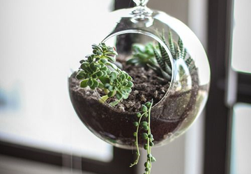 СОЗДАНИЕ  ВИСЯЧЕГО ТЕРРАРИУМА ТАК ЛЕГКО И РЕЗУЛЬТАТ ЗАХВАТЫВАЮЩИЙ