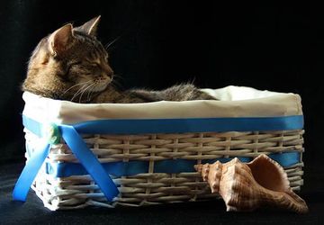 Плетение из газет