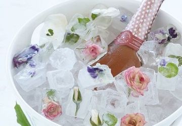 Цветочные кубики льда