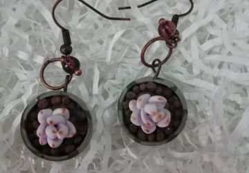 Серьги секуленты