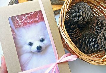 Звероброшь со шпицем