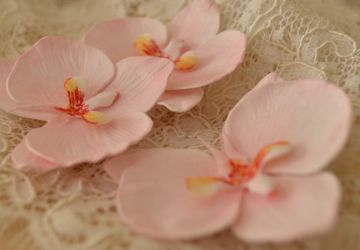 Шпильки для волос с орхидей!