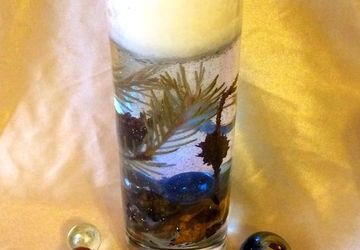 Сказочная тайга