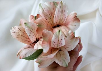 заколка альстомерия