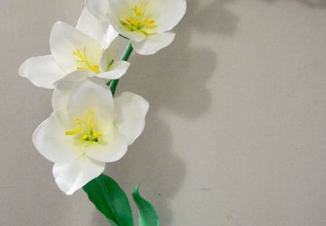 Ростовые фрезии