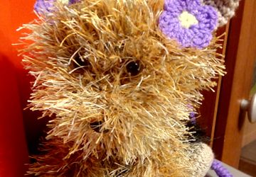 Йоркширский терьер