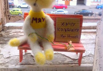 Питерский кот Игорек "Хочу колбаску"