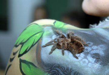 Фестиваль креативных художников "ArtEast"