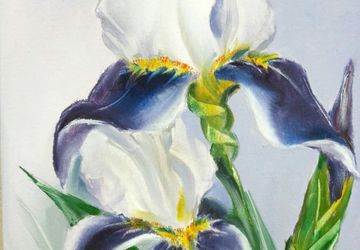 Картина маслом "Воздушные ирисы"  30"40