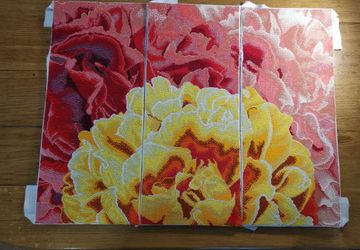 Желто-красные Пионы