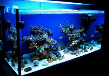 Аквариум своими руками