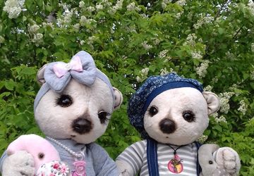 Мишки Тэдди