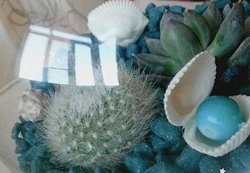 "На дне морском..."