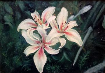 Лилии