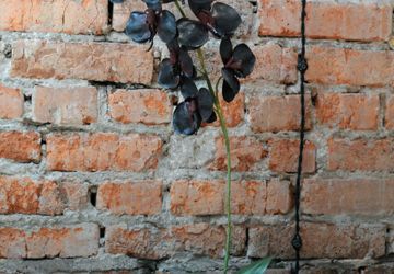 Черная орхидея из фоамирана