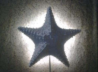 Дизайнерский светильник в форме звезды