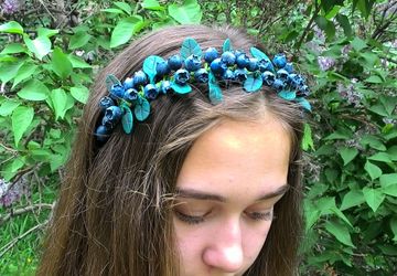 "Черничное чудо"