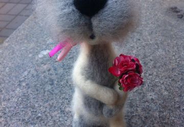 Питерский кот с букетом