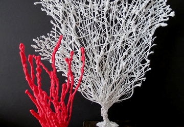 Кораллы своими руками.