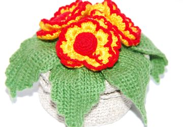 Цветы солнечные