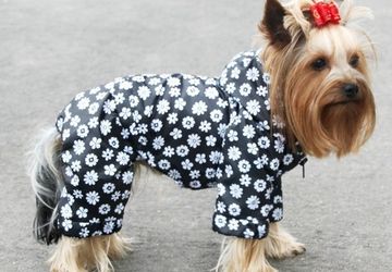 Одежда для собак своими руками