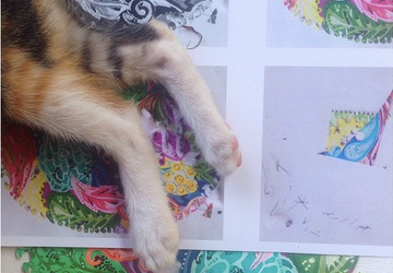 Открытка Zentangle